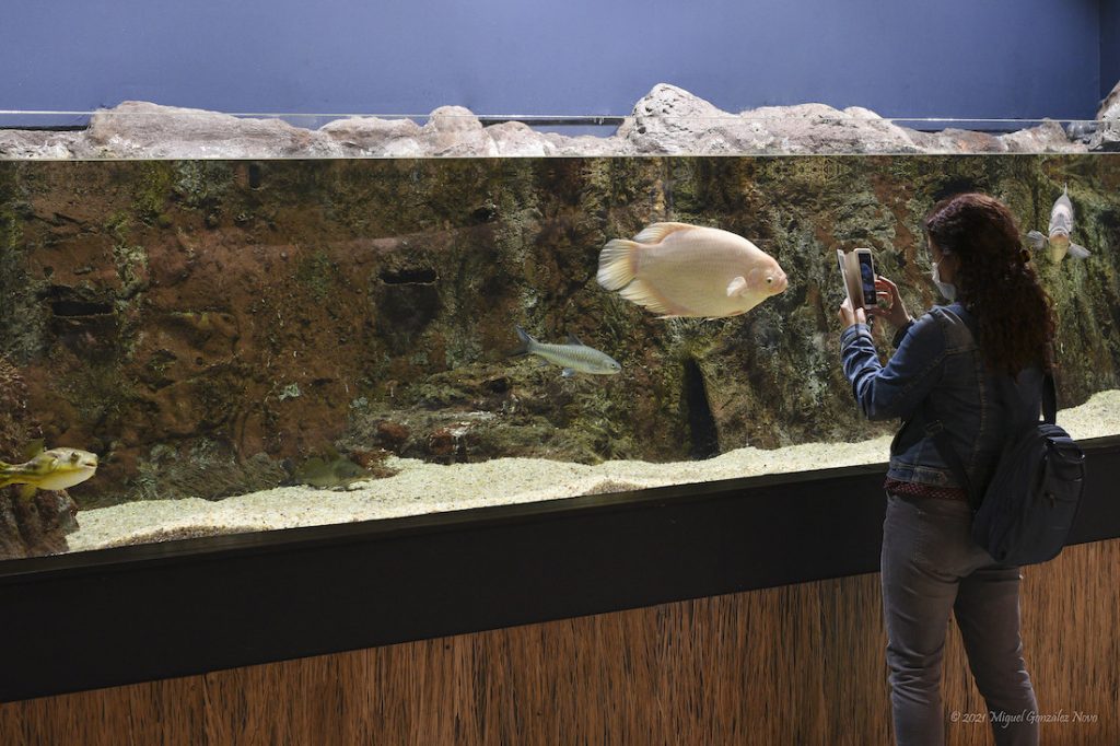 acuario de Zaragoza